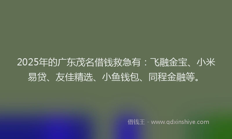 2025年的广东茂名借钱救急有：飞融金宝、小米易贷、友佳精选、小鱼钱包、同程金融等。
