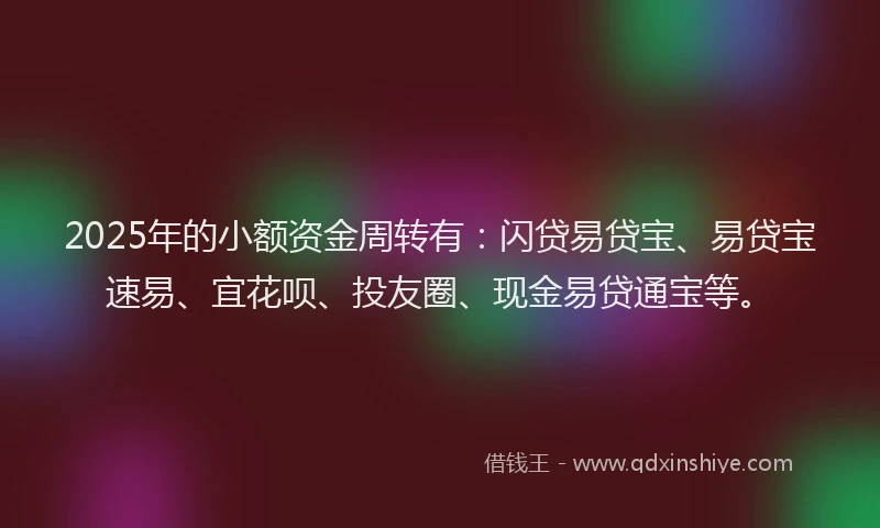 2025年的小额资金周转有：闪贷易贷宝、易贷宝速易、宜花呗、投友圈、现金易贷通宝等。
