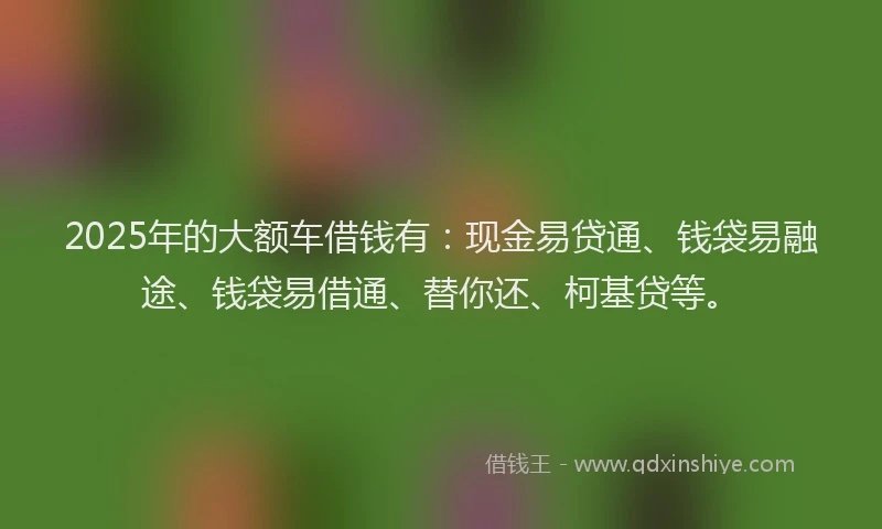 2025年的大额车借钱有：现金易贷通、钱袋易融途、钱袋易借通、替你还、柯基贷等。