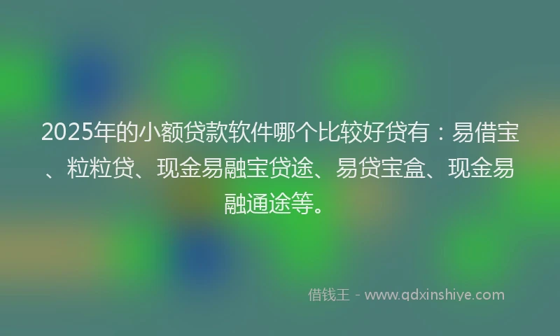 2025年的小额贷款软件哪个比较好贷有：易借宝、粒粒贷、现金易融宝贷途、易贷宝盒、现金易融通途等。