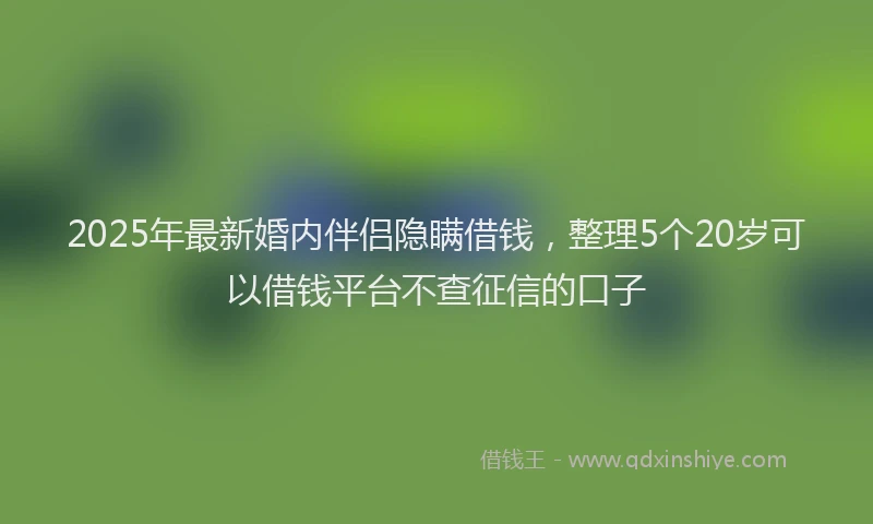 2025年最新婚内伴侣隐瞒借钱，整理5个20岁可以借钱平台不查征信的口子