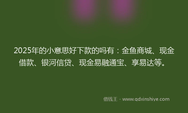 2025年的小意思好下款的吗有：金鱼商城、现金借款、银河信贷、现金易融通宝、享易达等。