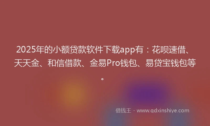 2025年的小额贷款软件下载app有：花呗速借、天天金、和信借款、金易Pro钱包、易贷宝钱包等。