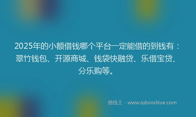 2025年的小额借钱哪个平台一定能借的到钱有：翠竹钱包、开源商城、钱袋快融贷、乐借宝贷、分乐购等。