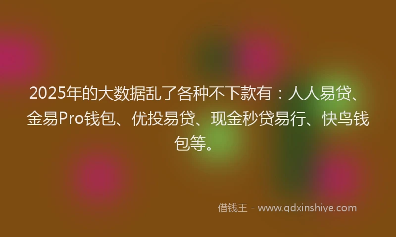 2025年的大数据乱了各种不下款有：人人易贷、金易Pro钱包、优投易贷、现金秒贷易行、快鸟钱包等。