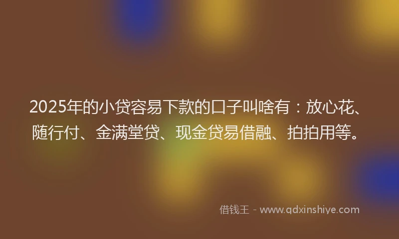 2025年的小贷容易下款的口子叫啥有：放心花、随行付、金满堂贷、现金贷易借融、拍拍用等。