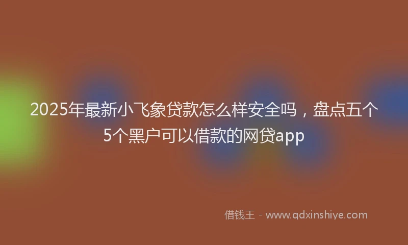 2025年最新小飞象贷款怎么样安全吗，盘点五个5个黑户可以借款的网贷app
