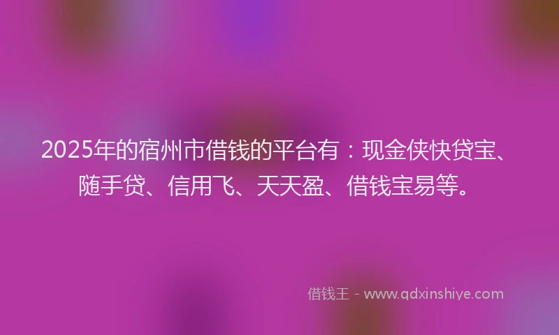 2025年的宿州市借钱的平台有：现金侠快贷宝、随手贷、信用飞、天天盈、借钱宝易等。