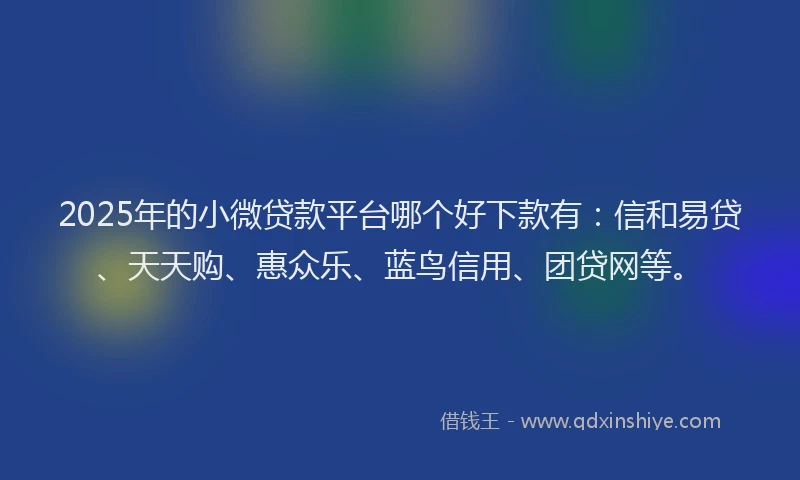2025年的小微贷款平台哪个好下款有：信和易贷、天天购、惠众乐、蓝鸟信用、团贷网等。