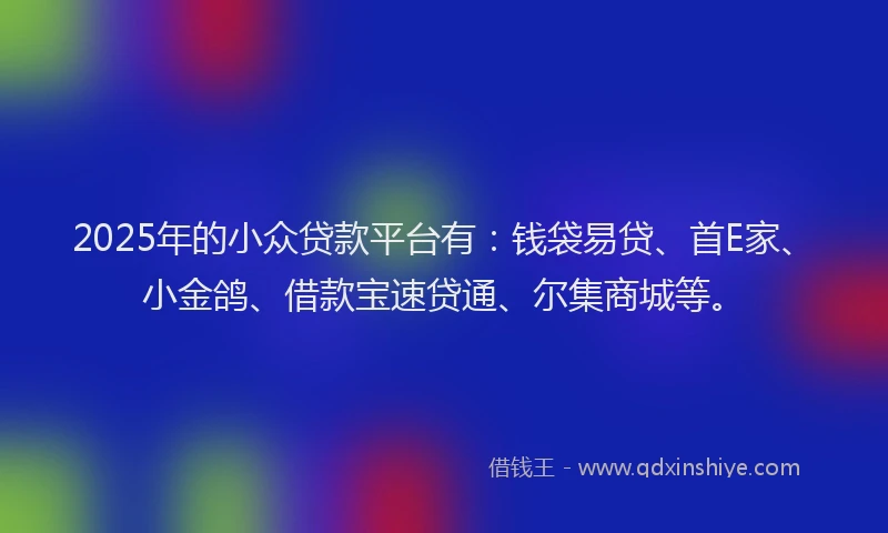 2025年的小众贷款平台有：钱袋易贷、首E家、小金鸽、借款宝速贷通、尔集商城等。