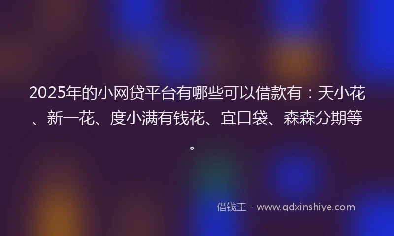 2025年的小网贷平台有哪些可以借款有：天小花、新一花、度小满有钱花、宜口袋、森森分期等。
