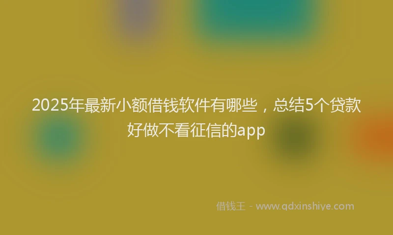 2025年最新小额借钱软件有哪些，总结5个贷款好做不看征信的app