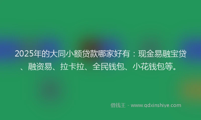 2025年的大同小额贷款哪家好有：现金易融宝贷、融资易、拉卡拉、全民钱包、小花钱包等。