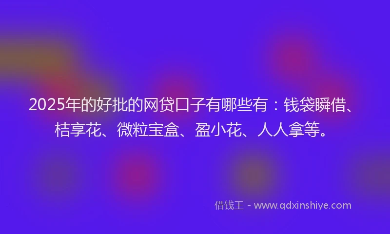 2025年的好批的网贷口子有哪些有：钱袋瞬借、桔享花、微粒宝盒、盈小花、人人拿等。