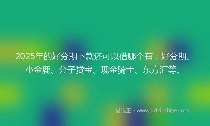 2025年的好分期下款还可以借哪个有:好分期、小金鹿、分子贷宝、现金骑士、东方汇等。