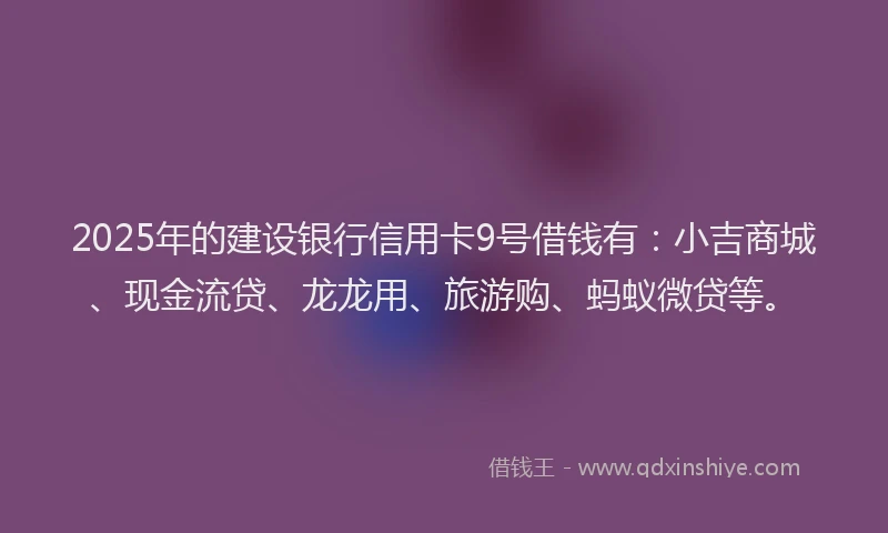 2025年的建设银行信用卡9号借钱有：小吉商城、现金流贷、龙龙用、旅游购、蚂蚁微贷等。