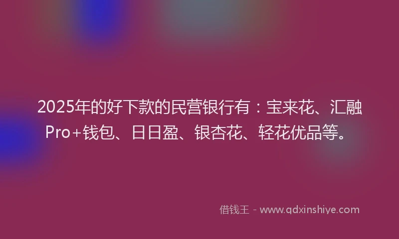2025年的好下款的民营银行有：宝来花、汇融Pro+钱包、日日盈、银杏花、轻花优品等。