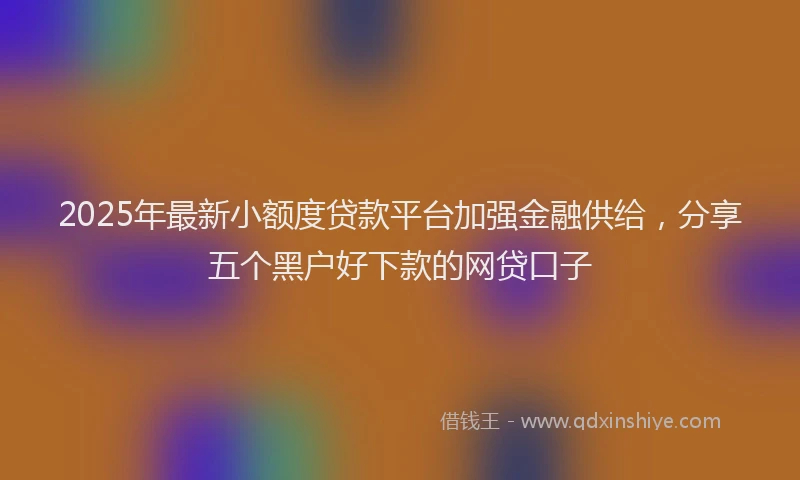 2025年最新小额度贷款平台加强金融供给，分享五个黑户好下款的网贷口子