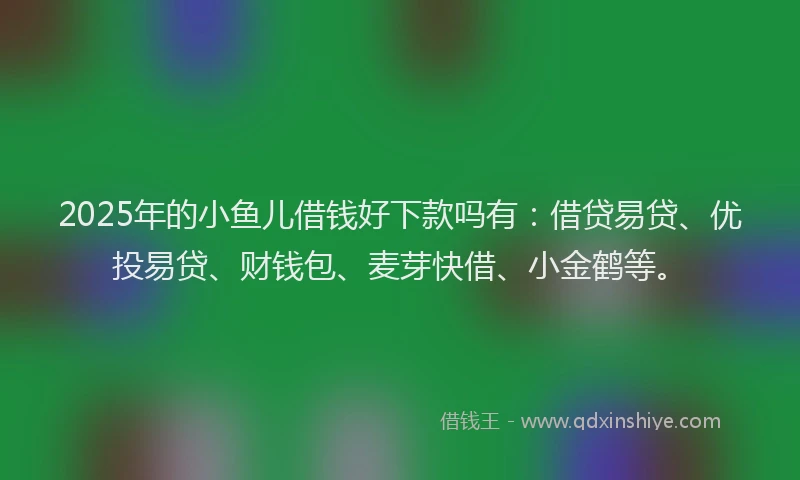 2025年的小鱼儿借钱好下款吗有：借贷易贷、优投易贷、财钱包、麦芽快借、小金鹤等。
