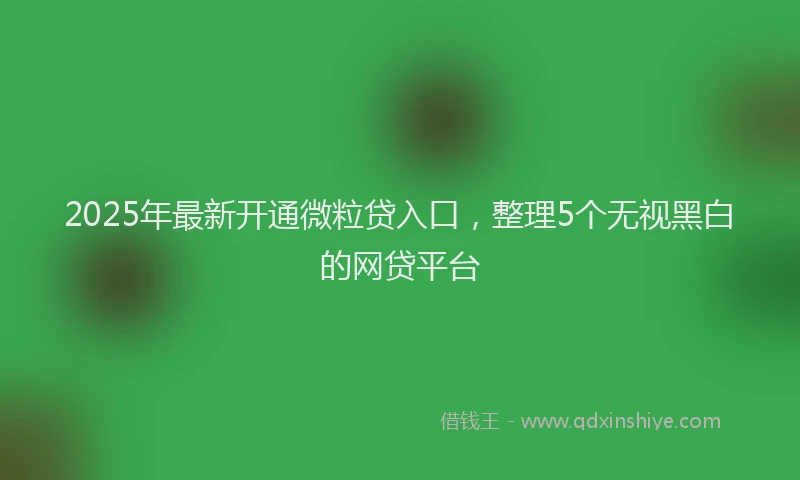 2025年最新开通微粒贷入口，整理5个无视黑白的网贷平台