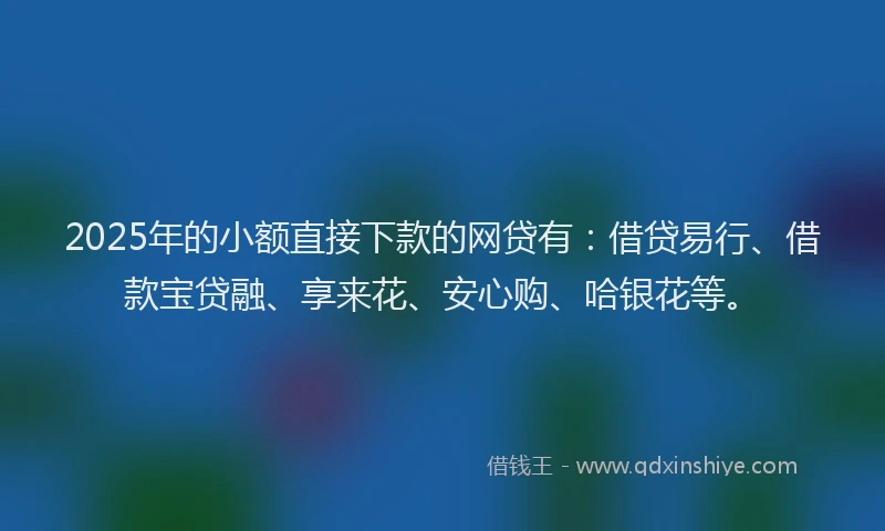 2025年的小额直接下款的网贷有：借贷易行、借款宝贷融、享来花、安心购、哈银花等。