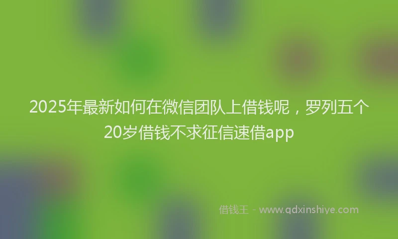 2025年最新如何在微信团队上借钱呢，罗列五个20岁借钱不求征信速借app