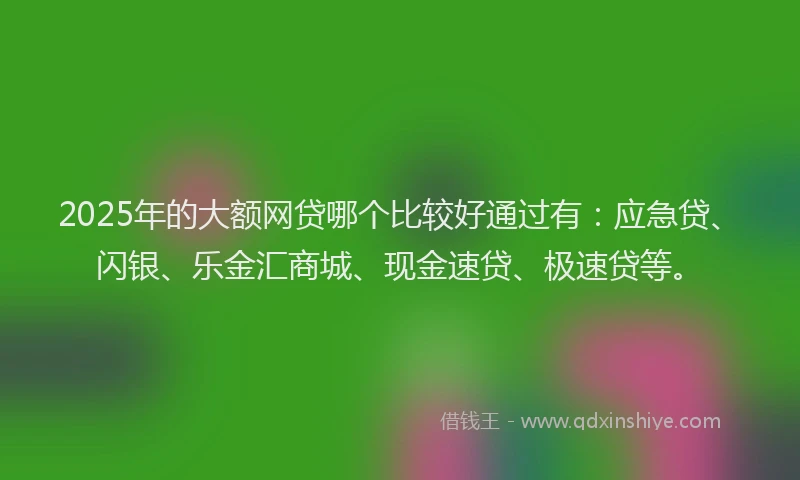 2025年的大额网贷哪个比较好通过有：应急贷、闪银、乐金汇商城、现金速贷、极速贷等。