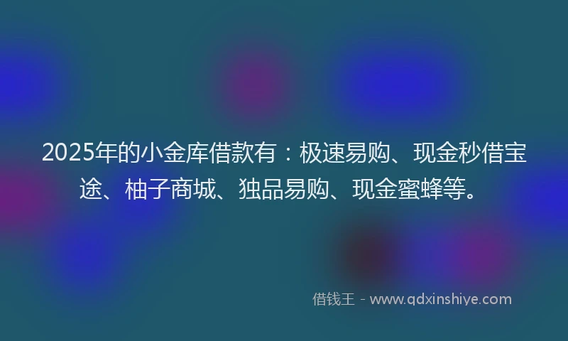 2025年的小金库借款有：极速易购、现金秒借宝途、柚子商城、独品易购、现金蜜蜂等。
