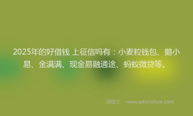 2025年的好借钱 上征信吗有：小麦粒钱包、鹅小易、金满满、现金易融通途、蚂蚁微贷等。