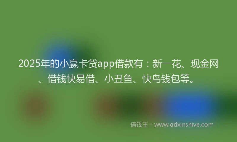 2025年的小赢卡贷app借款有：新一花、现金网、借钱快易借、小丑鱼、快鸟钱包等。