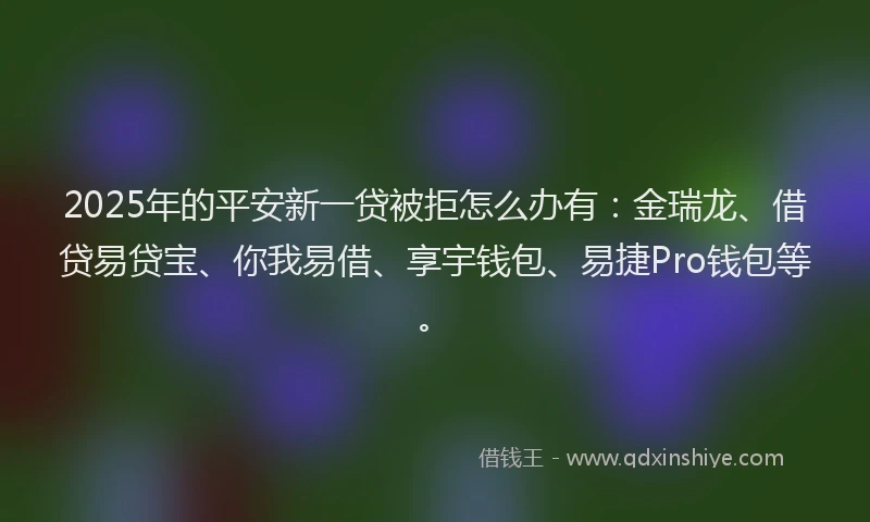 2025年的平安新一贷被拒怎么办有：金瑞龙、借贷易贷宝、你我易借、享宇钱包、易捷Pro钱包等。
