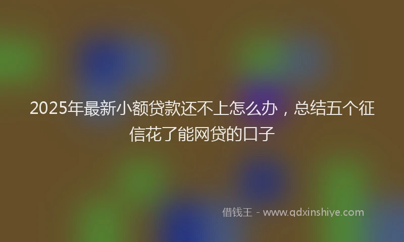 2025年最新小额贷款还不上怎么办，总结五个征信花了能网贷的口子