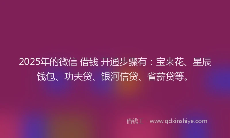 2025年的微信 借钱 开通步骤有：宝来花、星辰钱包、功夫贷、银河信贷、省薪贷等。