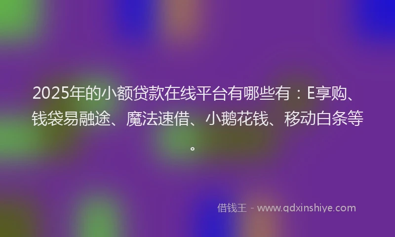 2025年的小额贷款在线平台有哪些有：E享购、钱袋易融途、魔法速借、小鹅花钱、移动白条等。