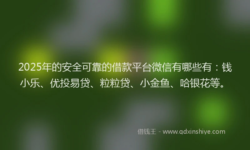 2025年的安全可靠的借款平台微信有哪些有：钱小乐、优投易贷、粒粒贷、小金鱼、哈银花等。