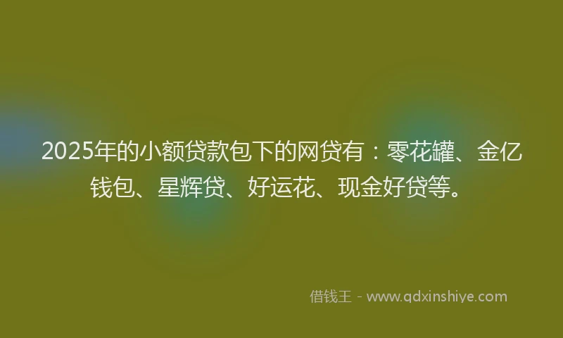 2025年的小额贷款包下的网贷有：零花罐、金亿钱包、星辉贷、好运花、现金好贷等。