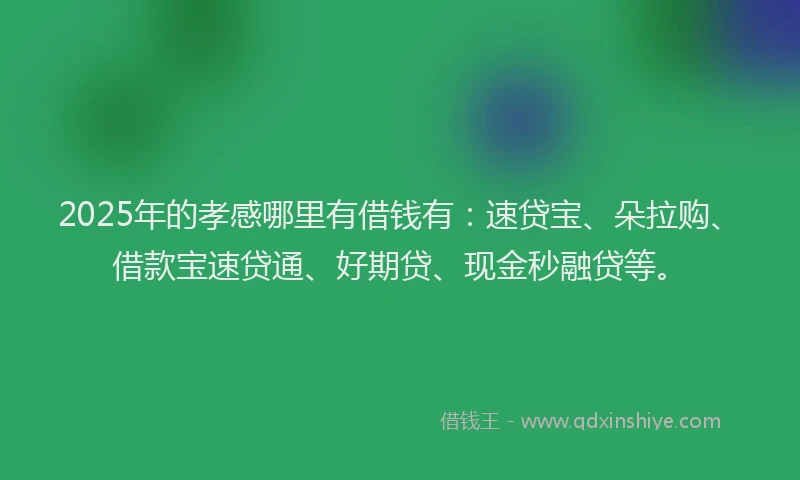 2025年的孝感哪里有借钱有：速贷宝、朵拉购、借款宝速贷通、好期贷、现金秒融贷等。