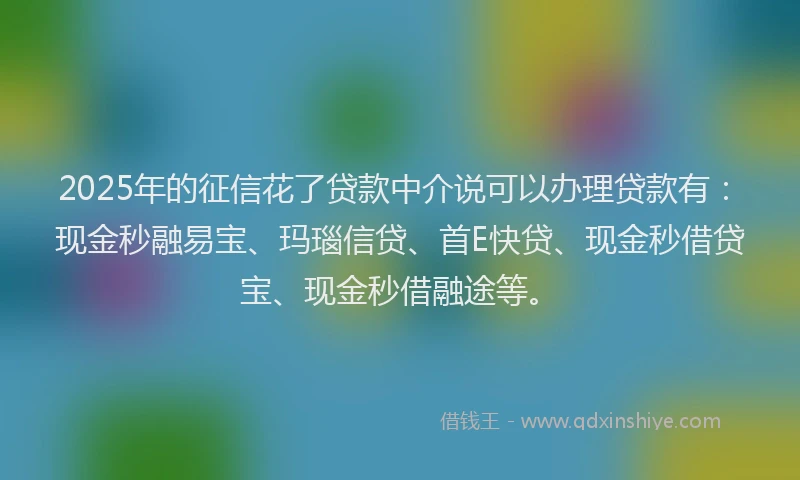 2025年的征信花了贷款中介说可以办理贷款有：现金秒融易宝、玛瑙信贷、首E快贷、现金秒借贷宝、现金秒借融途等。
