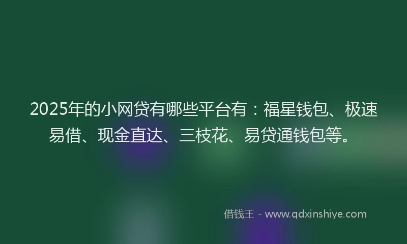2025年的小网贷有哪些平台有：福星钱包、极速易借、现金直达、三枝花、易贷通钱包等。