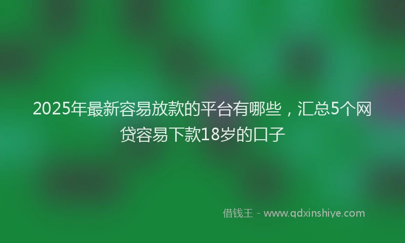 2025年最新容易放款的平台有哪些，汇总5个网贷容易下款18岁的口子
