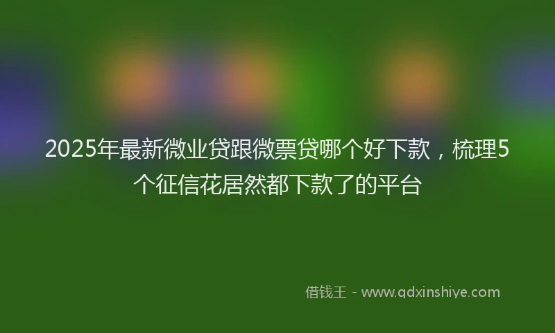 2025年最新微业贷跟微票贷哪个好下款，梳理5个征信花居然都下款了的平台