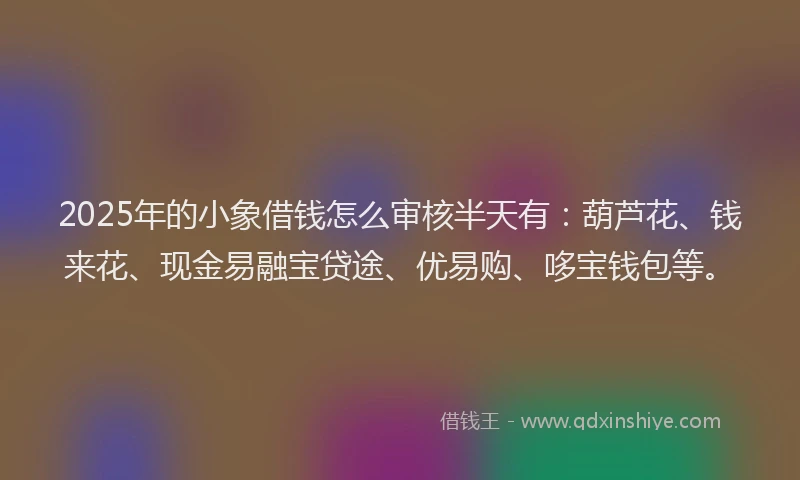 2025年的小象借钱怎么审核半天有：葫芦花、钱来花、现金易融宝贷途、优易购、哆宝钱包等。