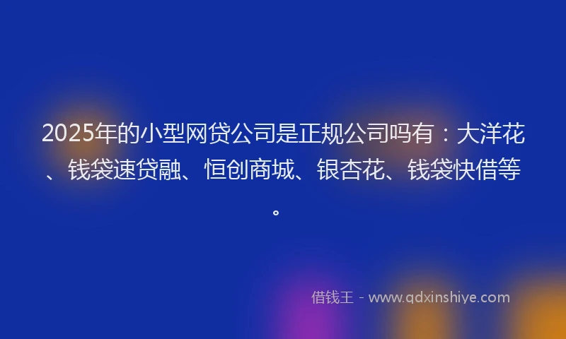 2025年的小型网贷公司是正规公司吗有：大洋花、钱袋速贷融、恒创商城、银杏花、钱袋快借等。