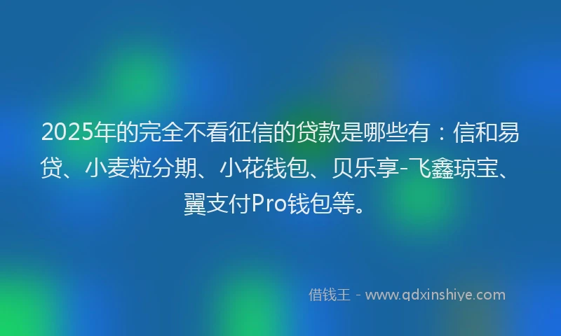 2025年的完全不看征信的贷款是哪些有：信和易贷、小麦粒分期、小花钱包、贝乐享-飞鑫琼宝、翼支付Pro钱包等。