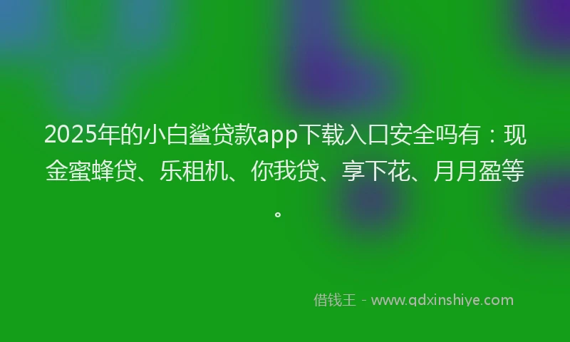 2025年的小白鲨贷款app下载入口安全吗有：现金蜜蜂贷、乐租机、你我贷、享下花、月月盈等。