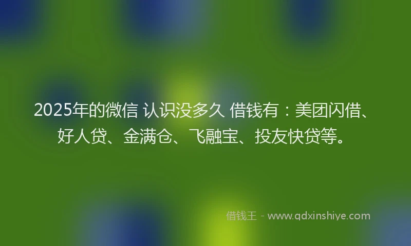 2025年的微信 认识没多久 借钱有：美团闪借、好人贷、金满仓、飞融宝、投友快贷等。
