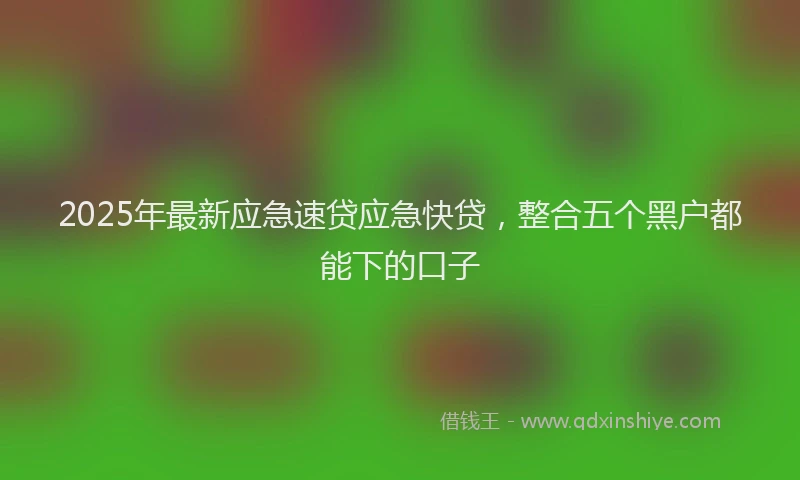 2025年最新应急速贷应急快贷，整合五个黑户都能下的口子