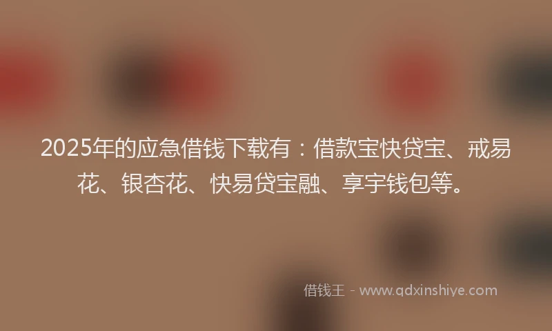 2025年的应急借钱下载有：借款宝快贷宝、戒易花、银杏花、快易贷宝融、享宇钱包等。