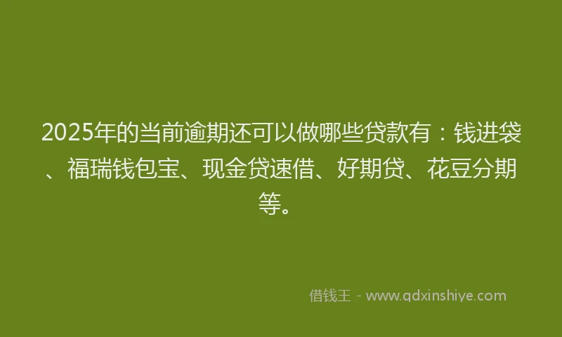 2025年的当前逾期还可以做哪些贷款有：钱进袋、福瑞钱包宝、现金贷速借、好期贷、花豆分期等。