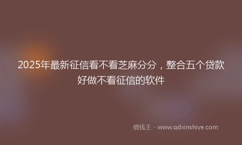 2025年最新征信看不看芝麻分分，整合五个贷款好做不看征信的软件